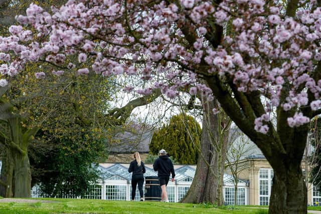 Trees blossom in Sheffield's Botanical Garden. Researchers from the University of Sheffield and Sheffield Hallam University city will lead on a new study in green social prescribing. Photo credit: JPIMedia