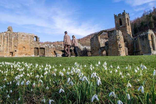 Snowdrops at Mount Grace Priory. Picture: Charlotte Graham