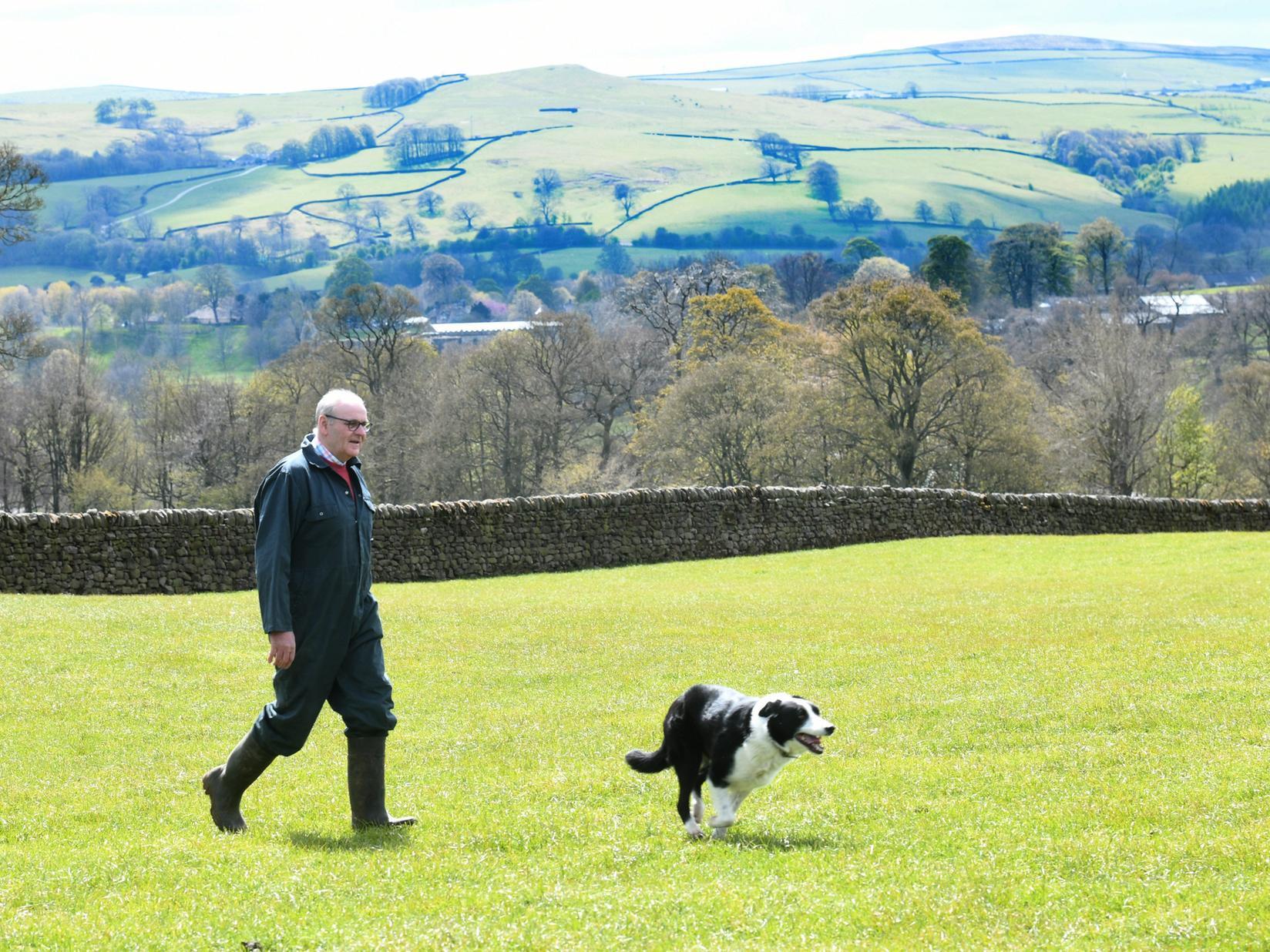 Farm of the Week: Great Yorkshire Show stalwart back with the beef herd after recovering from a brain tumour - Vimarsana News
