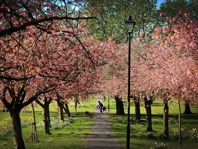 The Stray in Harrogate