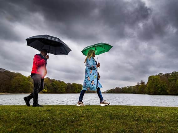 Rain at Roundhay Park, Leeds.