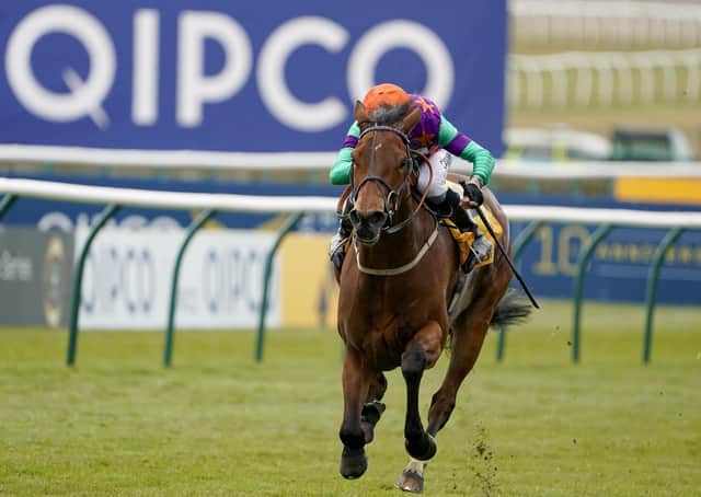 Impressive: Lady Bowthorpe chased home hot favourite Palace Pier in the Lockinge Stakes at Newbury. (Photo by Alan Crowhurst/Getty Images)