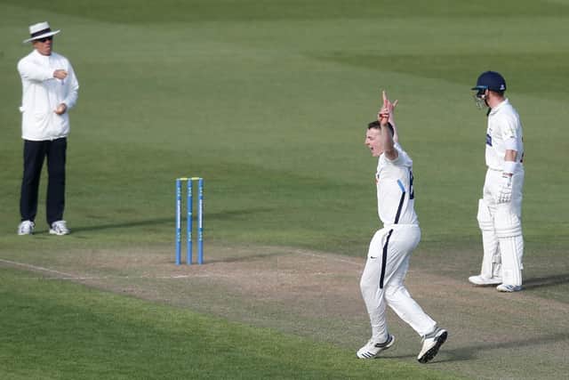Got him: Yorkshire's Harry Brook claims a Glamorgan wicket. Picture John Heald