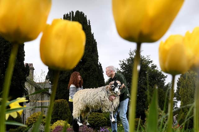 Fiona and Tim Gardham taking ther ram into the garden at The House at Hawes B&B