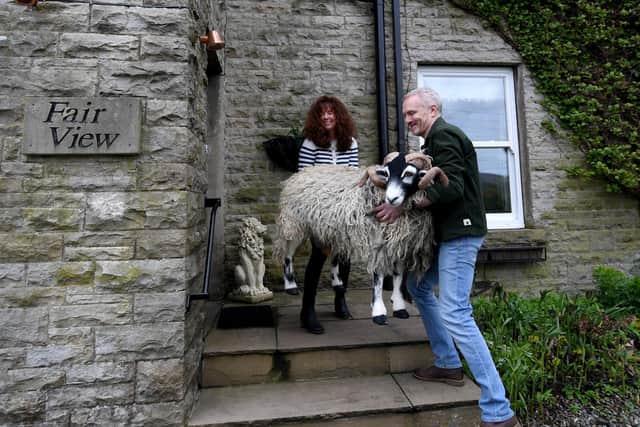 Taking delivery. The life-size and life-like Swaledale ram set for a new life greeting B&B guests