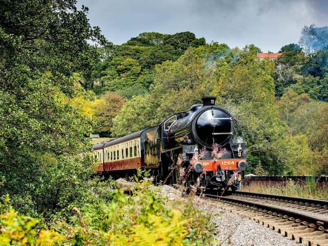 The North York Moors Railway (NYMR) is one of our most popular heritage railway lines. (Picture: Charlotte Graham).