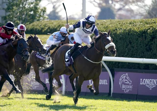 This was Yorkshire-trained Glass Slippers winning at the Breeders' Cup meeting in America last November under jockey Tom Eaves.