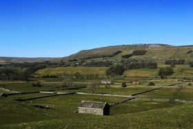 Stone barns near Hawes in the Yorkshire Dales. Picture : Jonathan Gawthorpe