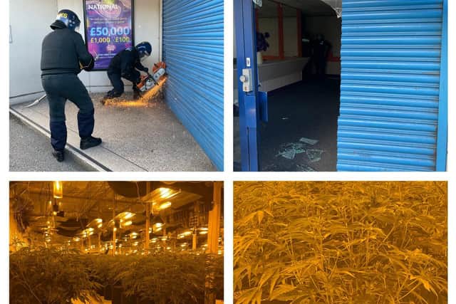 The plants were seized following a police raid at the Empire Bingo in Swinton Road, Mexborough on Tuesday morning.