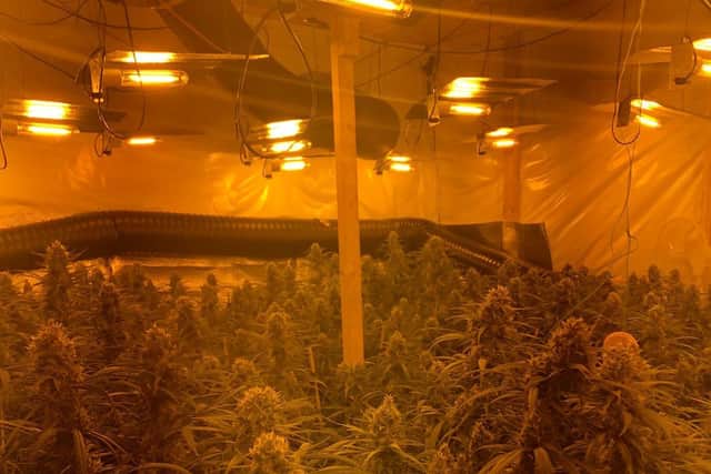 While investigating cannabis grows, officers from Humberside Police, have noticed electricity is now being directly abstracted from the road.