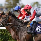 Rowan Scott riding Ubettabelieveit (number six) win The Bombardier Flying Childers Stakes during day three of the William Hill St Leger Festival at Doncaster Racecourse.