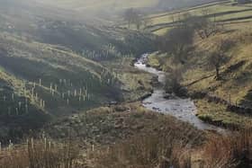 The four projects across West Yorkshire and North Yorkshire have seen thousands of trees planted to improve the environment and create new habitats.
