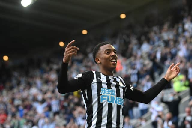 IN-FORM: Newcastle United's Joe Willock. Picture: Getty Images.