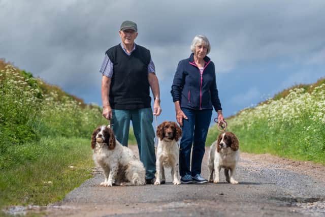 Keith and Liz Fetches have been reunited with their springer spaniels
