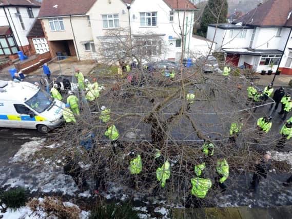 Operation Quito in 2018 saw dozens of police officers sent out to support Sheffield Council's tree-felling operations as protests grew. Picture: Scott Merrylees.