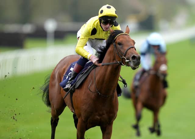 Trial winner: Third Realm ridden by jockey David Egan win the Novibet Derby Trial Stakes at Lingfield Park. (Photo by John Walton - Pool/Getty Images)