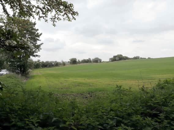 The farmland near Cleckheaton where the warehouse and distribution centre could be built