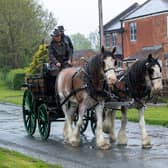 The Clydesdales pulling an 1860s shooting brake through Birdforth