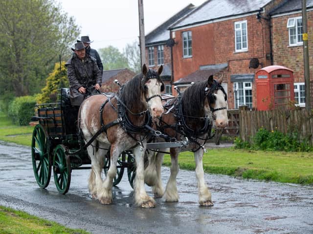 The Clydesdales pulling an 1860s shooting brake through Birdforth