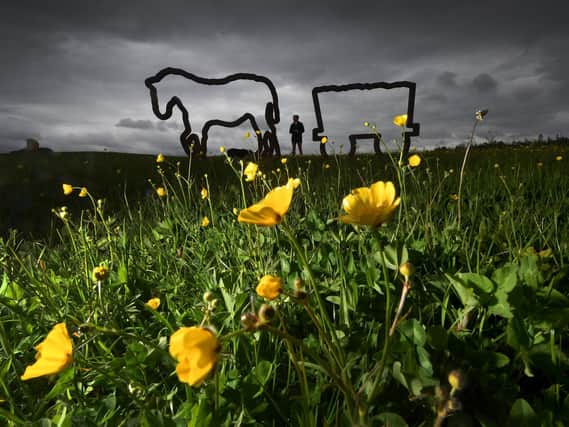 The sculpture on the old Kiveton Park Colliery, Kiveton Community Woodland, South Yorkshire. Picture by Simon Hulme