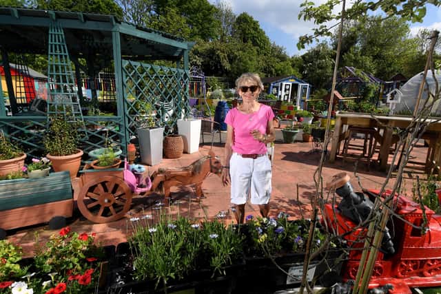 |The Growing Zone, a community allotment in Kippax, is among the groups to receive the  Queen’s Award for Voluntary Service today.