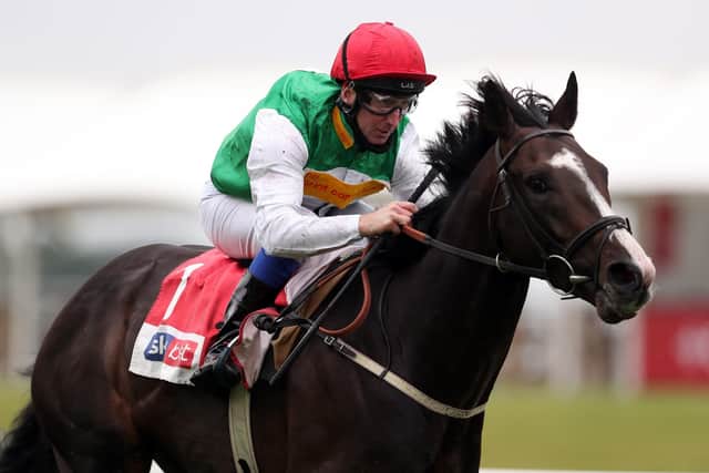 Jockey Martin Dwyer is talking up the Coronation Cup hopes of Pyledriver whose wins in 2020 included this success in York's Great Voltigeur Stakes.