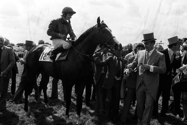 Shergar and Walter Swinburn return to the Epsom winners' enclosure after their Derby win of 1981.