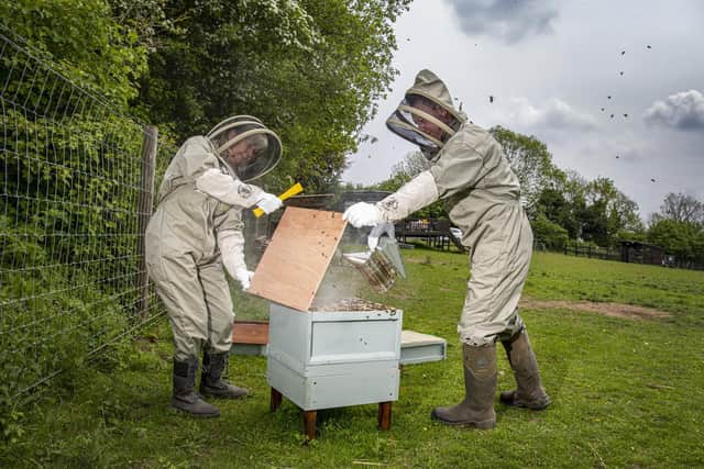Dean and Karen Pratt with their new beehive at Tickhill Alpacas at Sunny Acres in Tickhill, South Yorkshire.