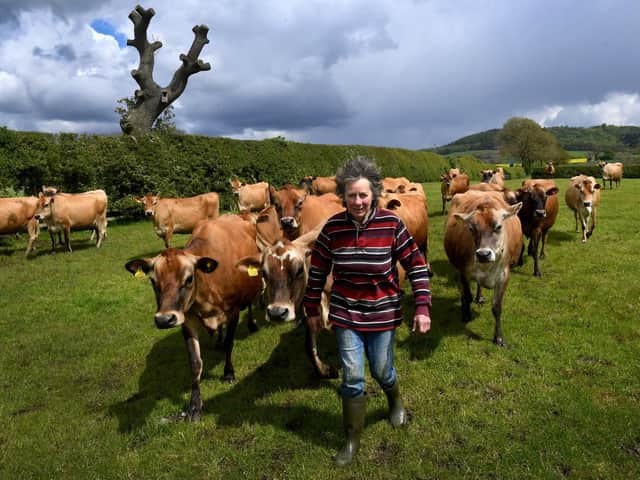 Pam Crosby with her pedigree herd