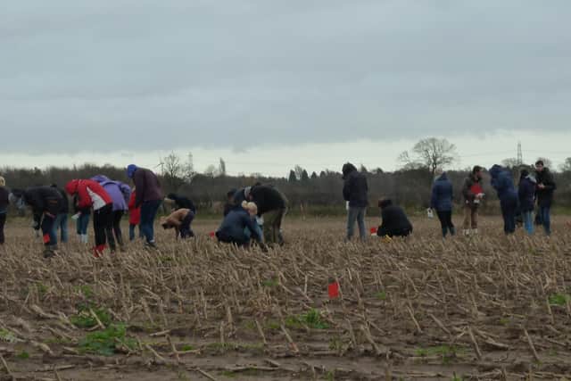 University of York students at work on the Torksey site.