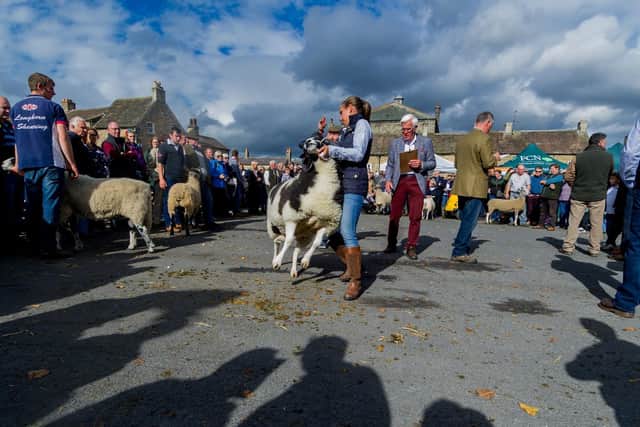 Masham Sheep Fair in 2017. Picture: James Hardisty.
