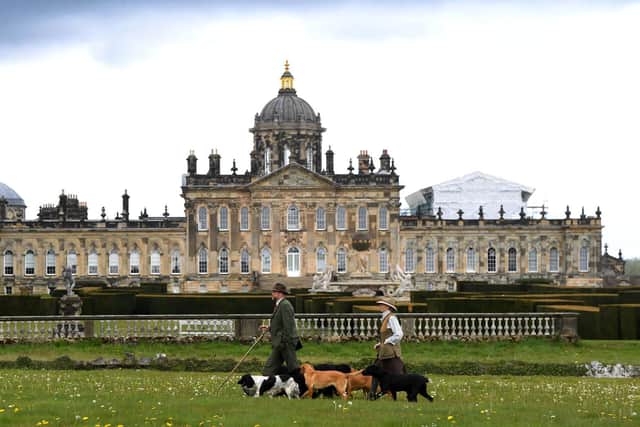 New guided dog tours have been launched sharing some of the estate's secrets