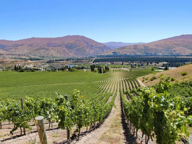 Otago in New Zealand is perfect for Pinot,