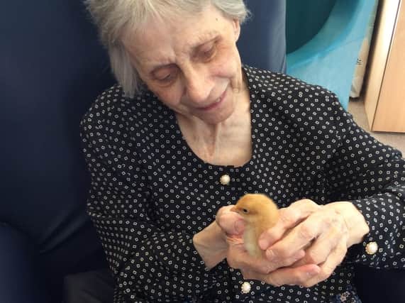 Residents at Broomcroft Care Home in Sheffield have hatched and nurtured baby chicks