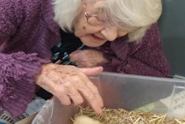 Heartwarming pictures show care home residents with baby chicks after being given hatching kits