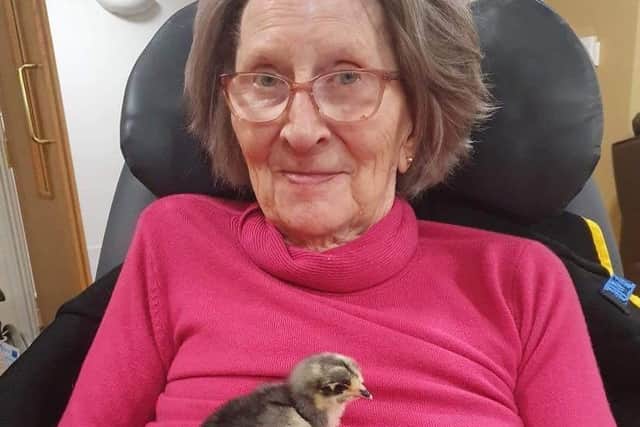 Heartwarming pictures show the care home residents with baby chicks after being given hatching kits