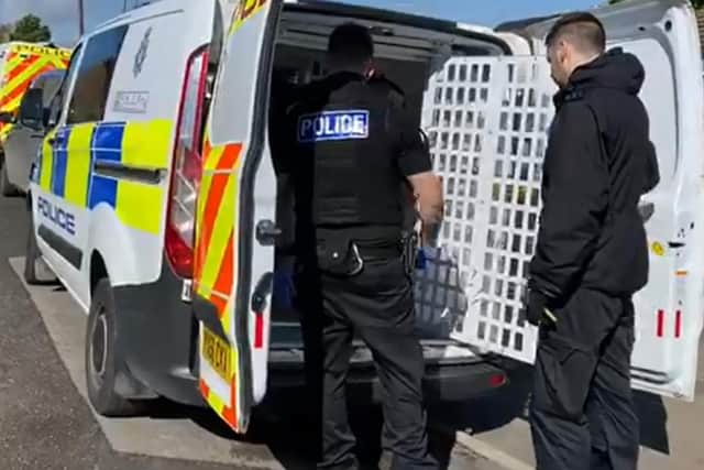 Throughout April and May officers from Humberside Police’s Organised Crime Unit have carried out the arrest phase of a huge operation to close down four county lines drugs gangs supplying Class A and B drugs across Yorkshire.