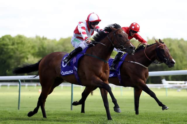 This was John Quinn's Liberty Beach (near side) winning the Temple Stakes at Haydock last month under Jason Hart.
