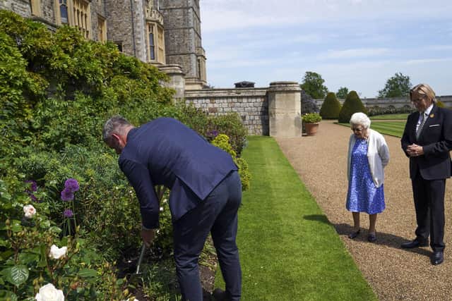 The Queen watches on as the rose is planted