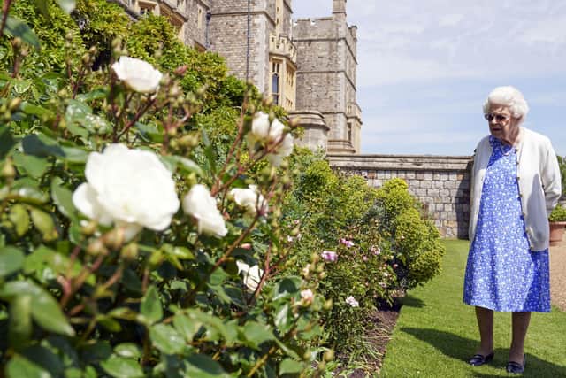 Queen Elizabeth II views a border in the gardens of Windsor Castle, in Berkshire, where she received a Duke of Edinburgh rose, given to her by the Royal Horticultural Society. The newly bred deep pink commemorative rose from Harkness Roses has officially been named in memory of the Duke of Edinburgh. A royalty from the sale of each rose will go to The Duke of Edinburgh's Award Living Legacy Fund which will give more young people the opportunity to take part in the Duke of Edinburgh Award.