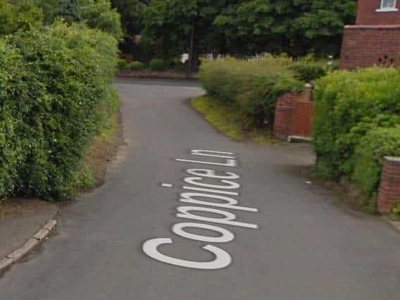 The 25-year-old woman was walking her dog in Coppice Lane towards Harpenden Drive, just before 9pm yesterday, when two men approached her from behind and attempted to steal her dog.