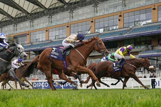 Hollie Doyle and Glen Shiel (beige colours) deny Brando in the final stridge of the Qipco British Champions Sprint at Ascot last October.