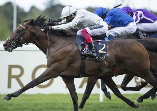 This was Palace Pier winning at Royal Ascot last year under Frankie Dettori.