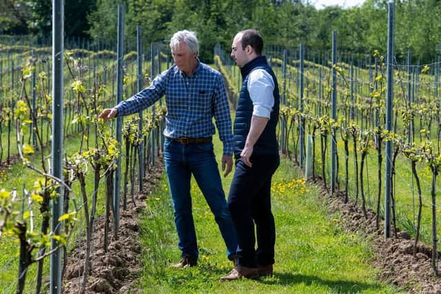 The Townsend family planted 6,500 vines on their six-acre site in 2016 and the vineyard currently produces around 3,500 bottles of white, rose and sparkling wines each year. Production is expected to peak at around 8,000 bottles in future years. Photo credit: Submitted picture