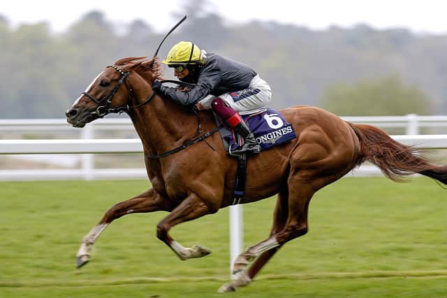 Stradivarius will seek a record-equally fourth Ascot Gold Cup win today.
