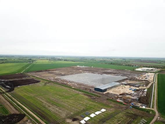 Greencoat Capital’s large-scale £85m greenhouse near Ely, Cambridgeshire, will be one of the largest built greenhouses in the UK