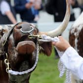 The Great Yorkshire Show will take place next month, it has been confirmed.