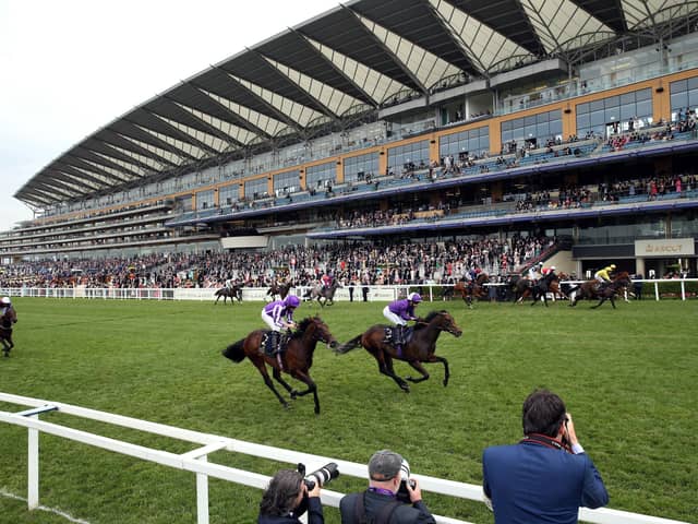 Perfect Power ridden by jockey Paul Hanagan (far side yellow silks) on their way to winning the Norfolk Stakes during day three of Royal Ascot at Ascot Racecourse. (Picture: PA)