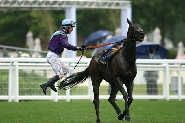 Jockey Oisin Murphy jumps off his horse and falls over after winning the Coronation Stakes on Alcohol Free during day four of Royal Ascot.