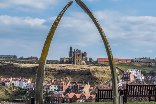 A view towards Whitby Abbey through the replica whale jaw bone which replaced the original archway. Picture: James Hardisty.